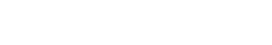 Long & Foster Real Estate Logo